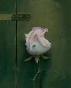 骄傲的玫瑰油画 阿列克谢安东诺夫油画作品: 骄傲的玫瑰油画 超写实玫瑰花油画素材 F