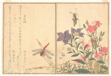 喜多川歌磨高清浮世绘花鸟画作品下载