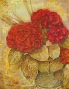 篮子里的花: 红色绣球花