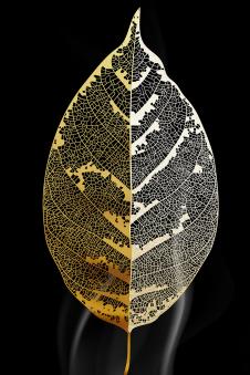 金色叶脉素材: 北欧金色叶子晶瓷装饰画下载 B