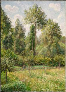 毕沙罗作品: 伊拉格尼的白杨树林 Poplars, Eragny