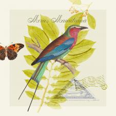 四联装饰画: 蝴蝶和小鸟 C