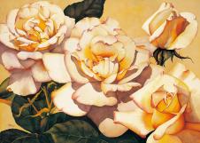 现代两玫瑰花水彩画高清素材下载 A