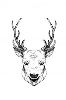 黑白麋鹿线条画: 麋鹿装饰画, 鹿头装饰画下载 C