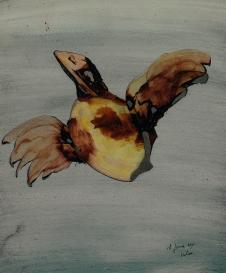 西德尼·诺兰（Sidney Robert Nolan） Bird 鸟油画