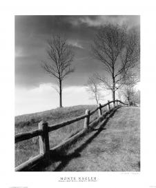 高清黑白风景摄影素材下载: 草原上的篱笆摄影图片