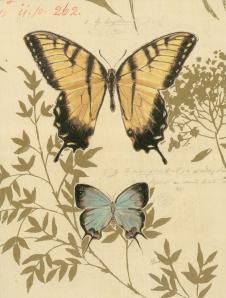欧式复古装饰画: 两只蝴蝶
