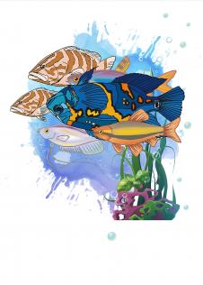 电脑绘制的装饰画: 热带鱼装饰画 A