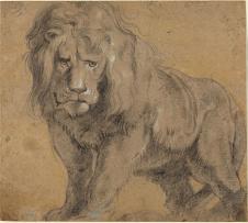 鲁本斯素描作品: 狮子素描欣赏