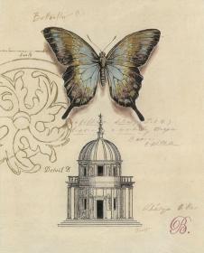 欧式复古装饰画: 蝴蝶和城堡