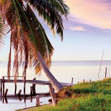 海边的海岛椰树摄影素材下载 B
