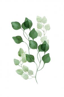高清现代绿叶水彩画素材: 叶子水彩画,藤蔓水彩画下载 