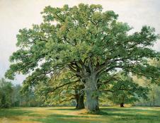 希施金高清风景油画作品 一棵大橡树 大图欣赏