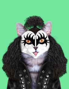 宠物明星脸高清素材下载:  吉尼西蒙斯猫装饰画