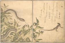喜多川歌磨作品: 蛇和蜥蜴