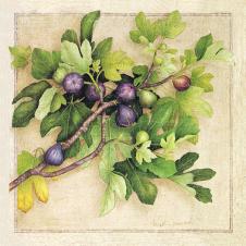 欧式餐厅装饰画: 树枝上的果实 A