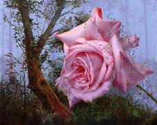 阿列克谢安东诺夫油画作品: 超大玫瑰花油画素材下载