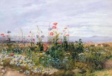 安德鲁·尼科尔（Andrew Nicholl） Wildflowers with a View of Dublin Dunleary 野花水彩画