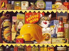 波西米亚猫系列: 猫粮堆里的猫