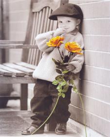 高清黑白摄影素材下载: 拿玫瑰花的小男孩摄影图片 B