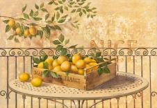 欧式水果静物写实油画: 柠檬