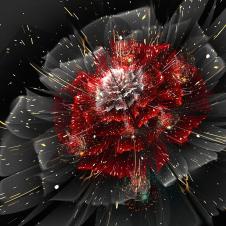 炫丽的花卉晶瓷画素材高清大图欣赏 B　