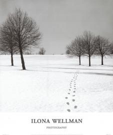 高清黑白风景摄影素材下载: 雪地摄影图片