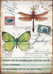 邮票与标本:  蝴蝶与蜻蜓装饰画欣赏 A