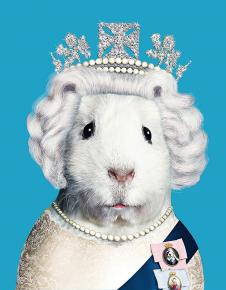 宠物明星脸高清素材下载:  英国女王兔子装饰画