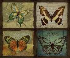 欧式三联四格装饰画素材: 各种蝴蝶 B