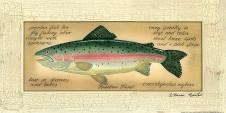 钓鱼去! 分享一组鱼的装饰画: 水彩画鱼欣赏 B