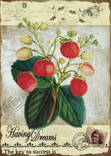 邮票与花卉画: 草莓装饰画