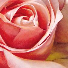 现代写实油画: 高清大玫瑰花油画素材 D