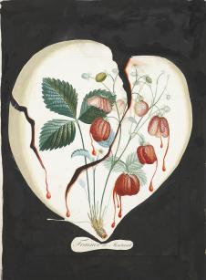 萨尔瓦多·达利:  Coeur de fraises (Strawberry Heart), 1970 草莓心脏