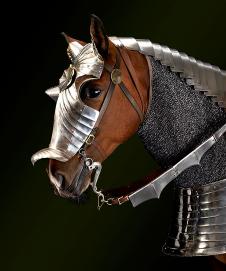 战马图片素材:  戴上盔甲的棕马
