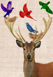 北欧麋鹿装饰画素材下载: 漂亮的麋鹿角  E