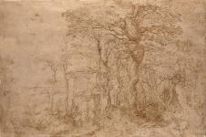 勃鲁盖尔风景素描作品: 森林素描