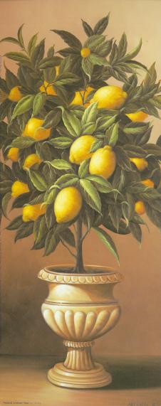 欧式花盆里的柠檬树油画欣赏
