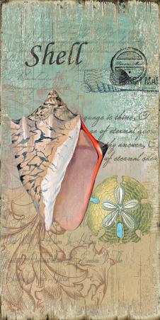 现代欧式海洋题材装饰画素材: 海螺和贝壳 A