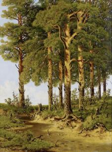 希施金高清风景油画作品  露出树根的树林 大图下载
