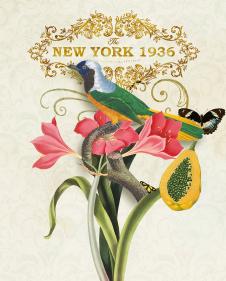 欧美田园花鸟装饰画: 花卉上的蝴蝶和小鸟 D
