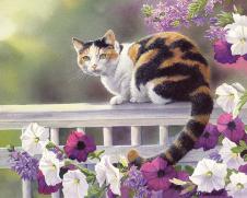 田园猫水彩画系列: 花园里的猫 A