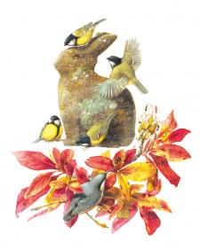 高清四联动物水彩画 动物装饰画素材下载: 小鸟