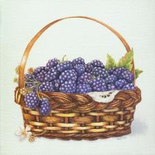欧式四联水果水彩画: 篮子里的葡萄 C