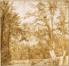Cornelis Hendrickszoon Vroom作品: 树林 Trees