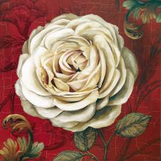 欧式高清白玫瑰花装饰画素材 A
