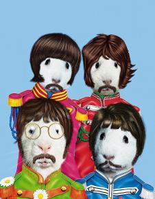 宠物明星脸高清素材下载:The Beatles兔子装饰画