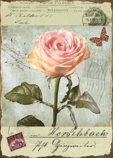 欧式三联邮票与花卉画: 玫瑰花装饰画下载 A