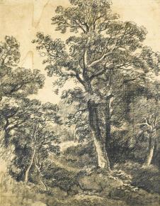 康斯太勃尔素描作品: 小树林