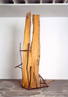 伊米·克诺贝尔作品：树的立体构成欣赏